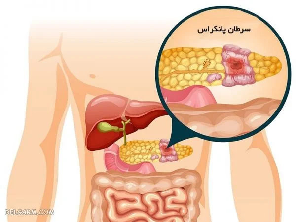 پزشکی