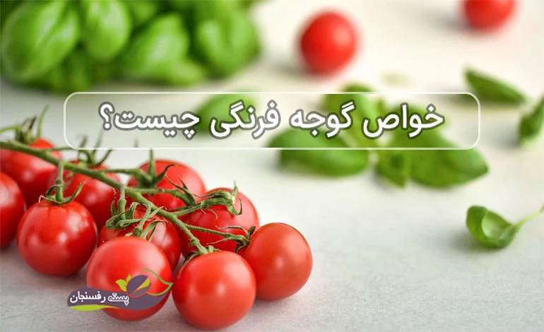 خواص