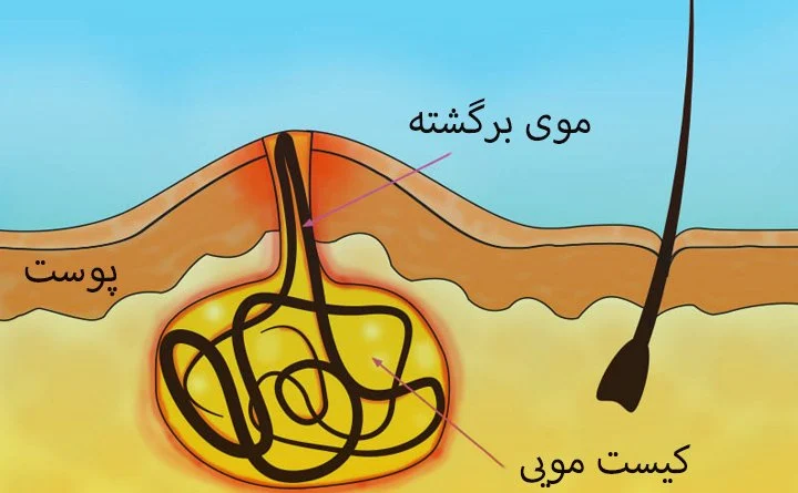آزمایش آزمایش