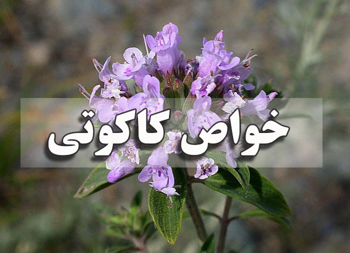 خواص