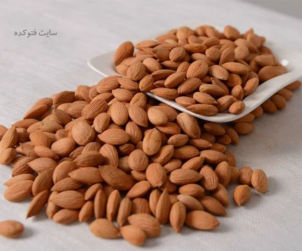 پزشکی