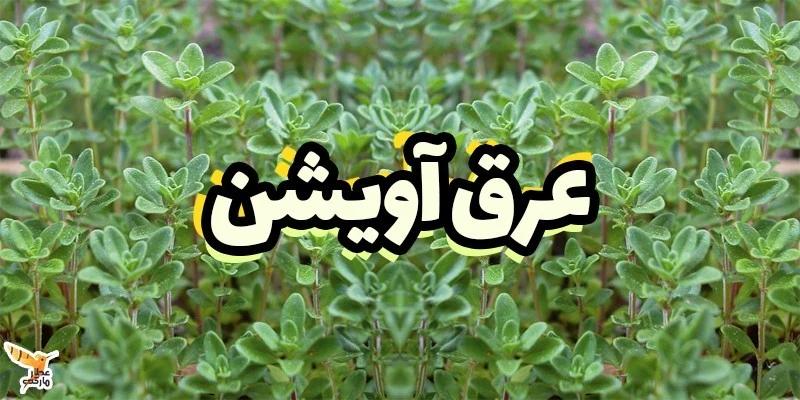 پزشکی