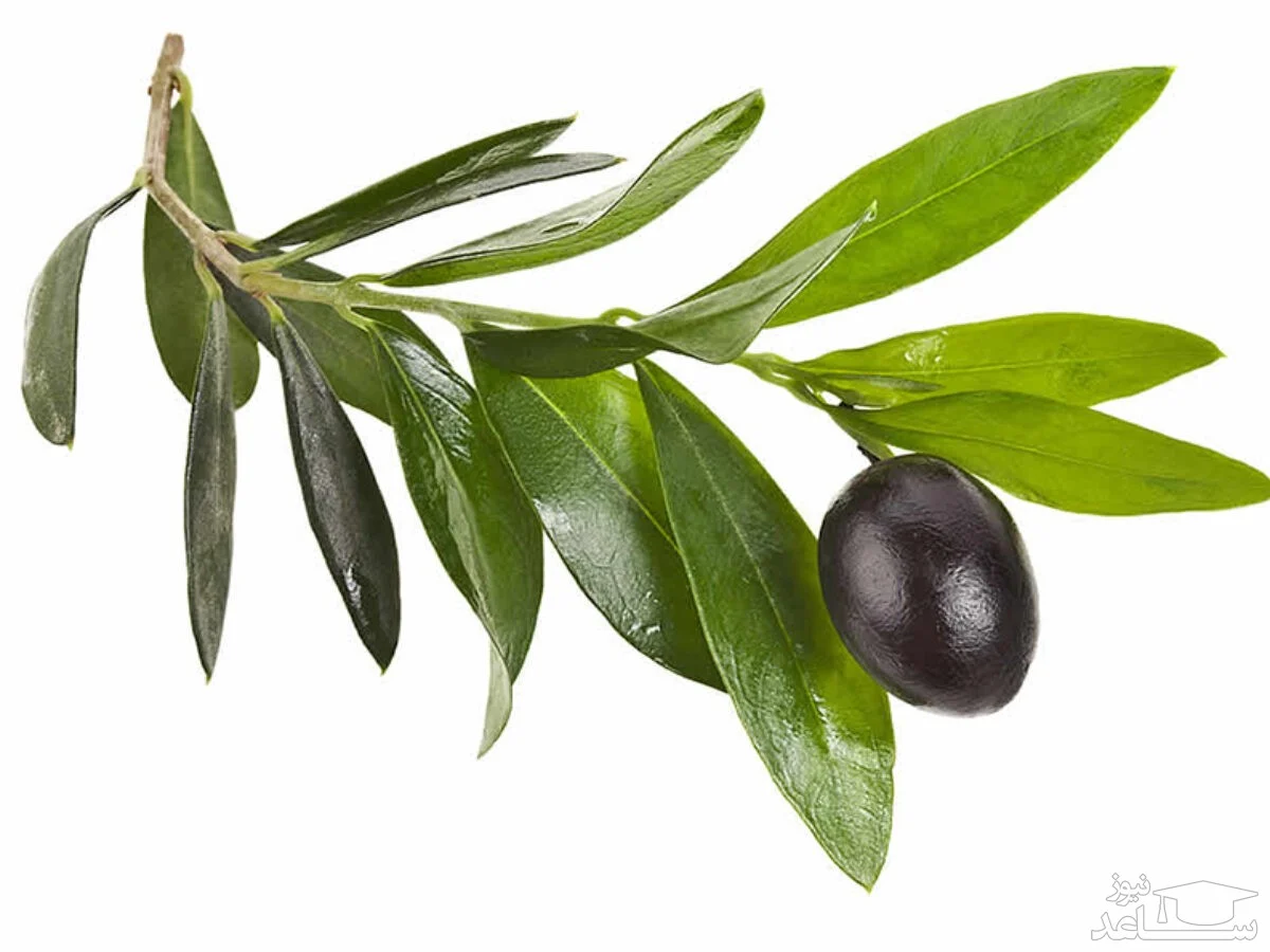 خواص