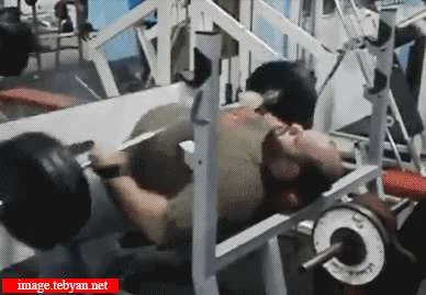 رژیم غذایی