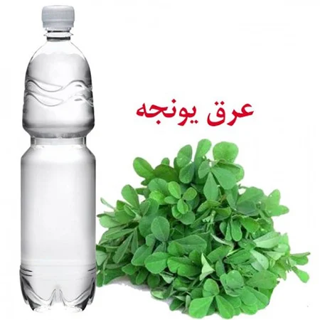 رژیم غذایی