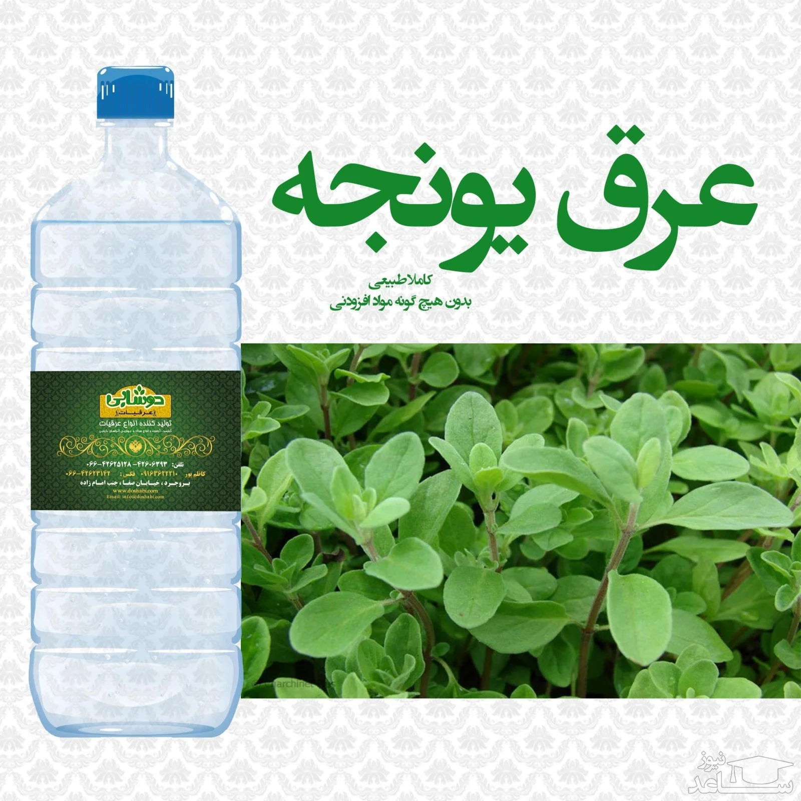 رژیم غذایی