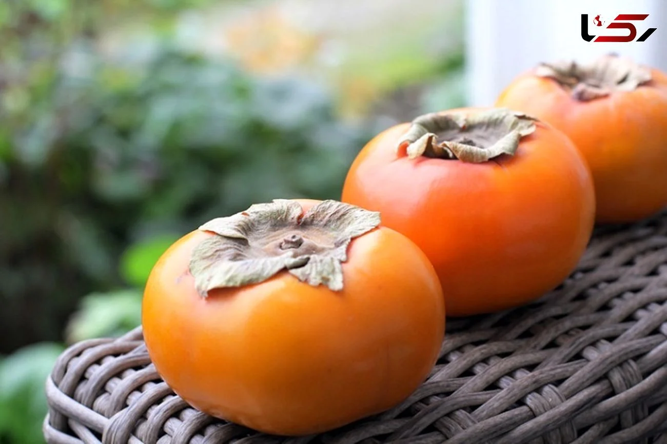 رژیم غذایی