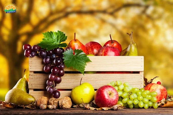 رژیم غذایی