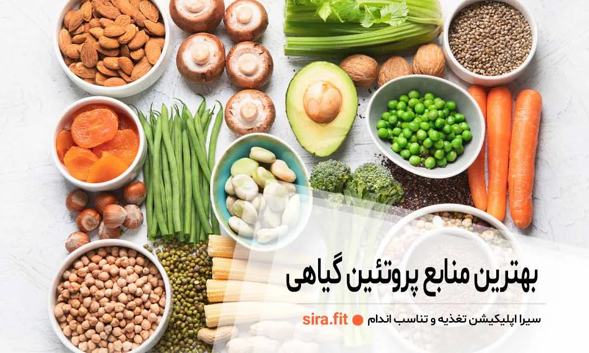رژیم غذایی