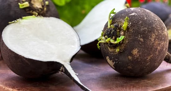 رژیم غذایی
