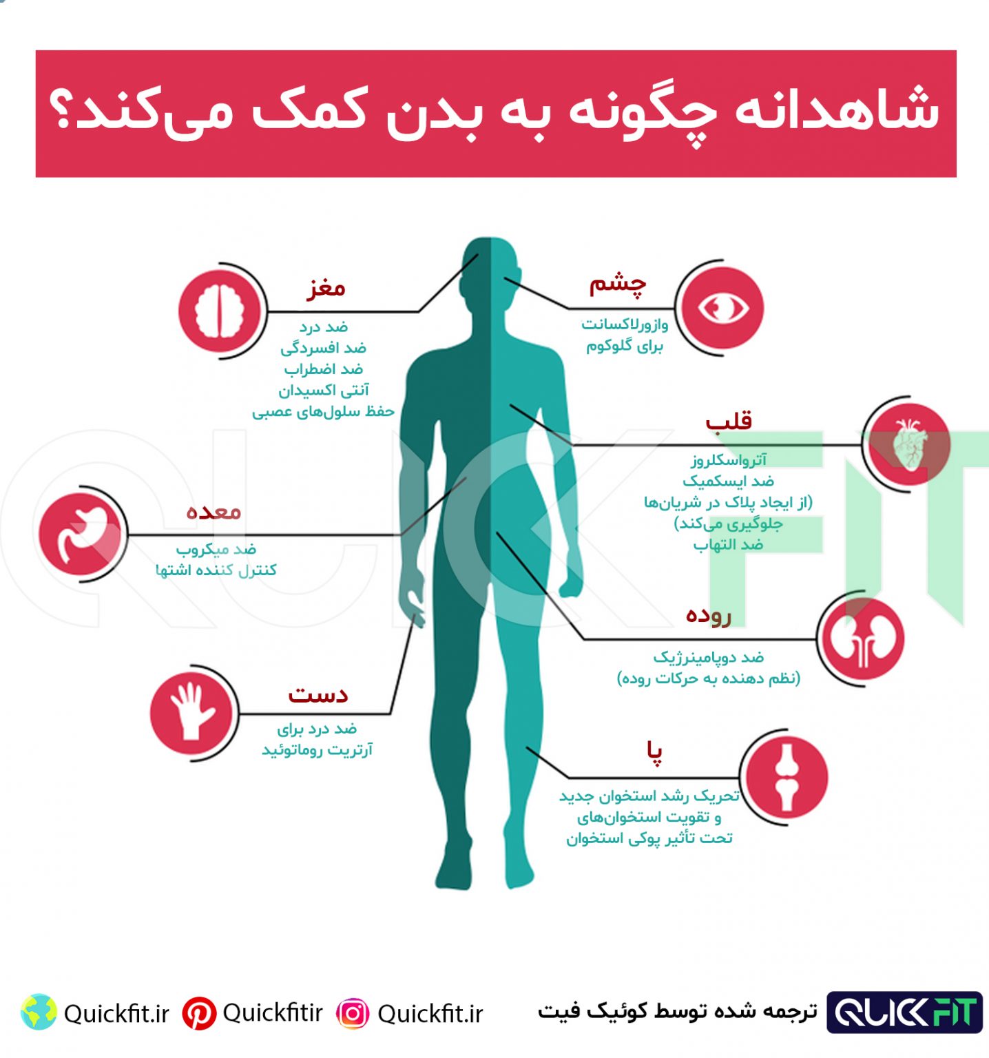 رژیم غذایی