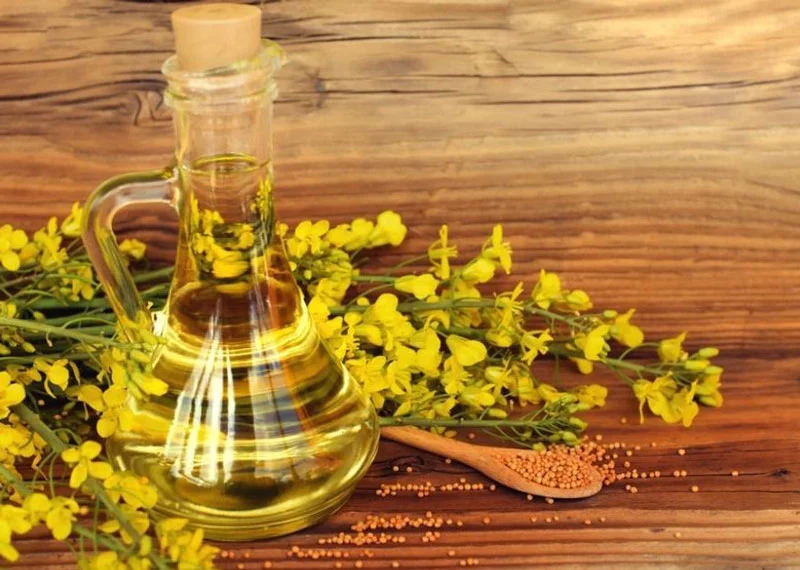 رژیم غذایی
