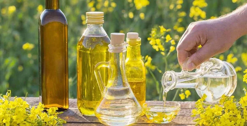 رژیم غذایی