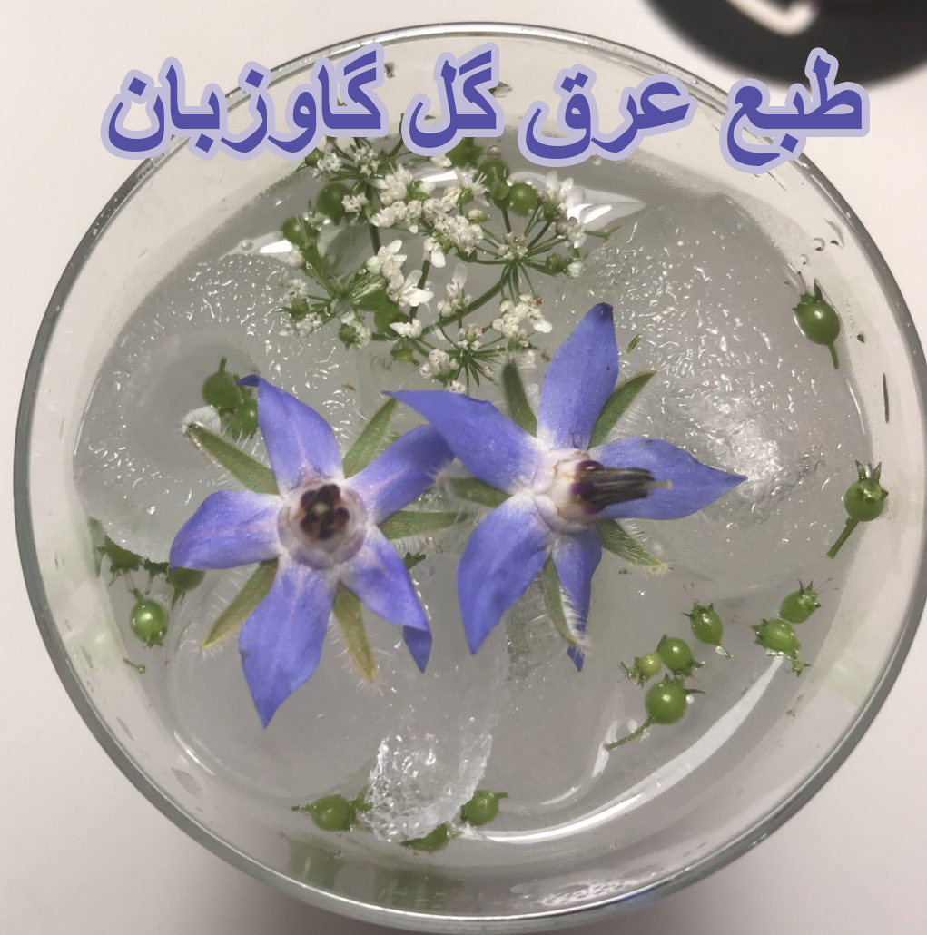 رژیم غذایی