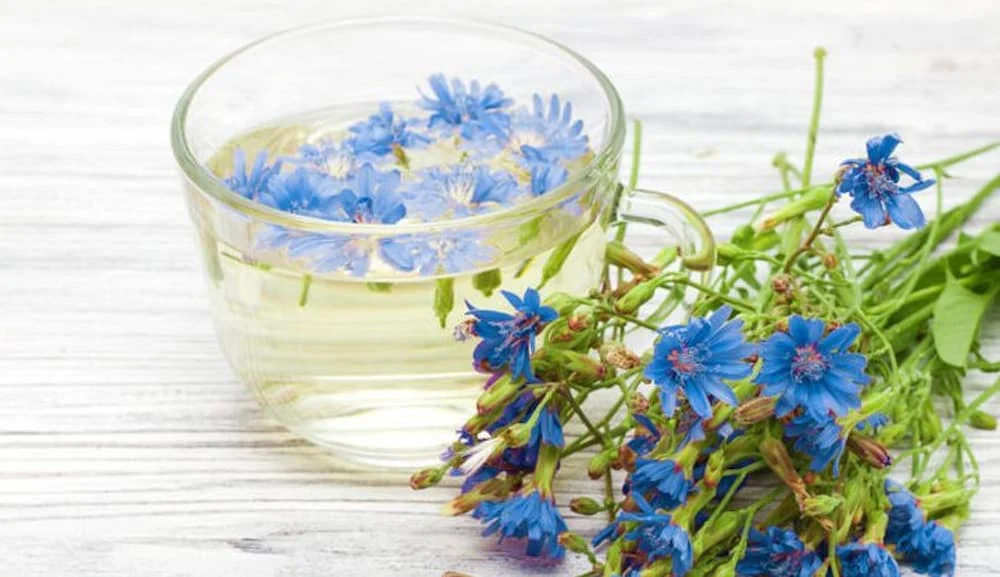 رژیم غذایی