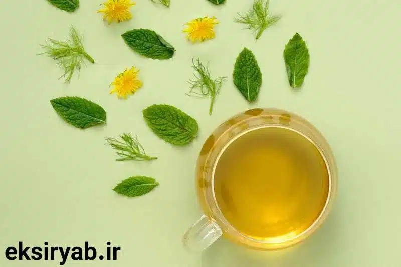 رژیم غذایی