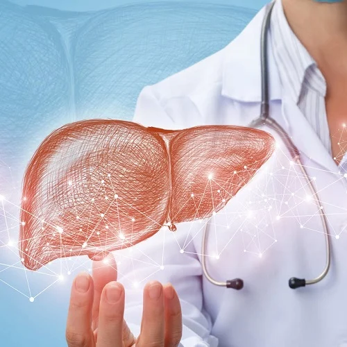 رژیم غذایی رژیم غذایی