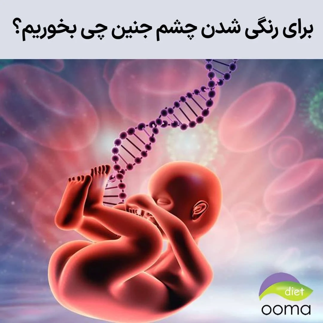 رژیم غذایی رژیم غذایی