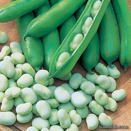 رژیم غذایی