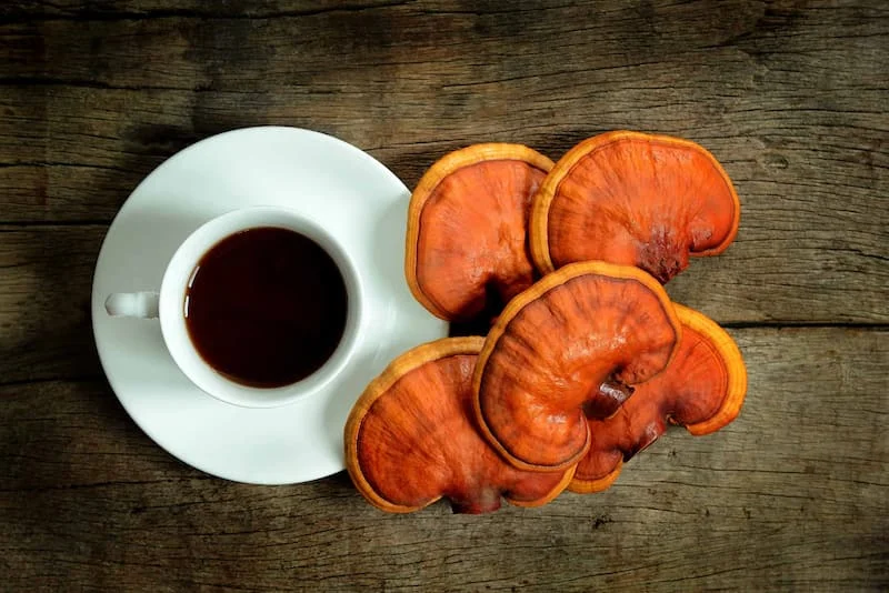 رژیم غذایی