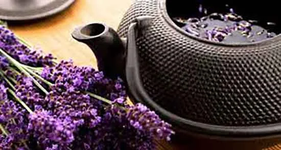 رژیم غذایی رژیم غذایی