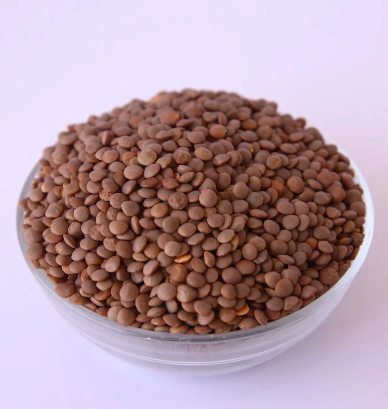 عدس