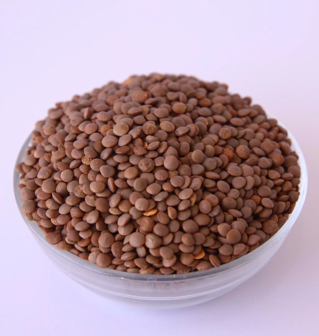 رژیم غذایی