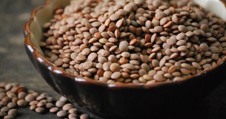 رژیم غذایی رژیم غذایی
