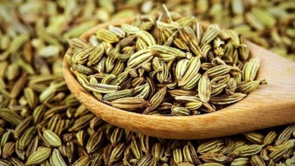 رژیم غذایی رژیم غذایی