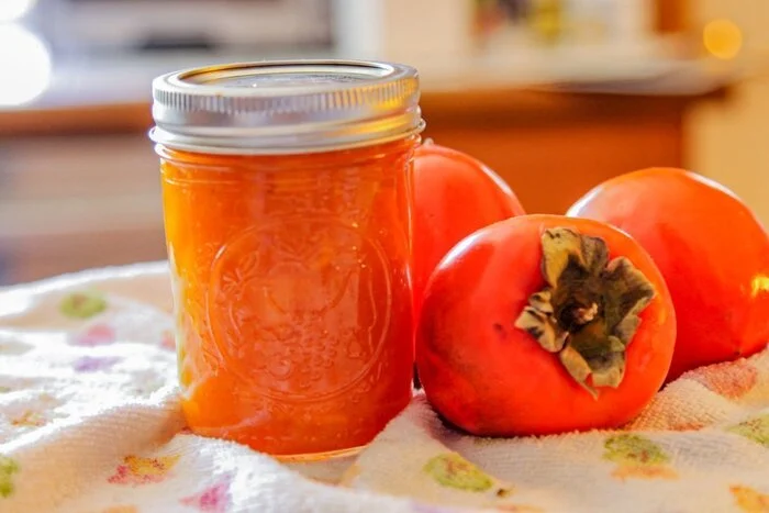 رژیم غذایی
