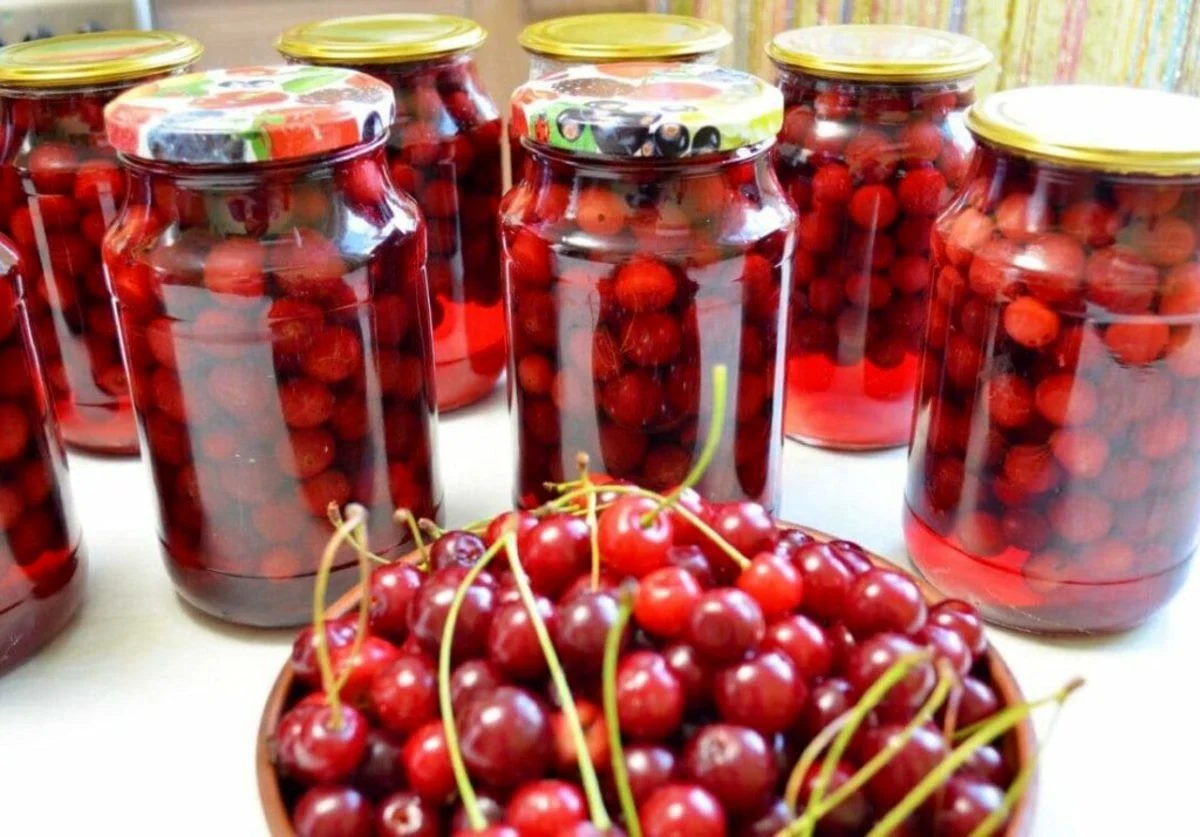 رژیم غذایی