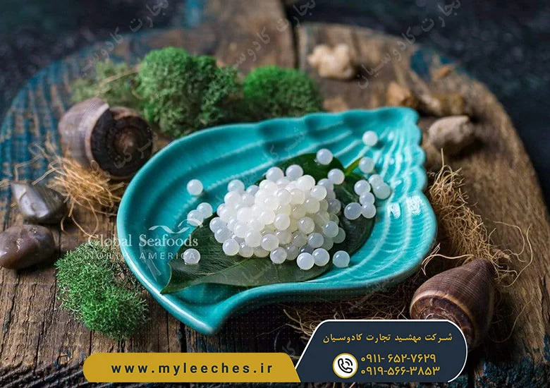 رژیم غذایی