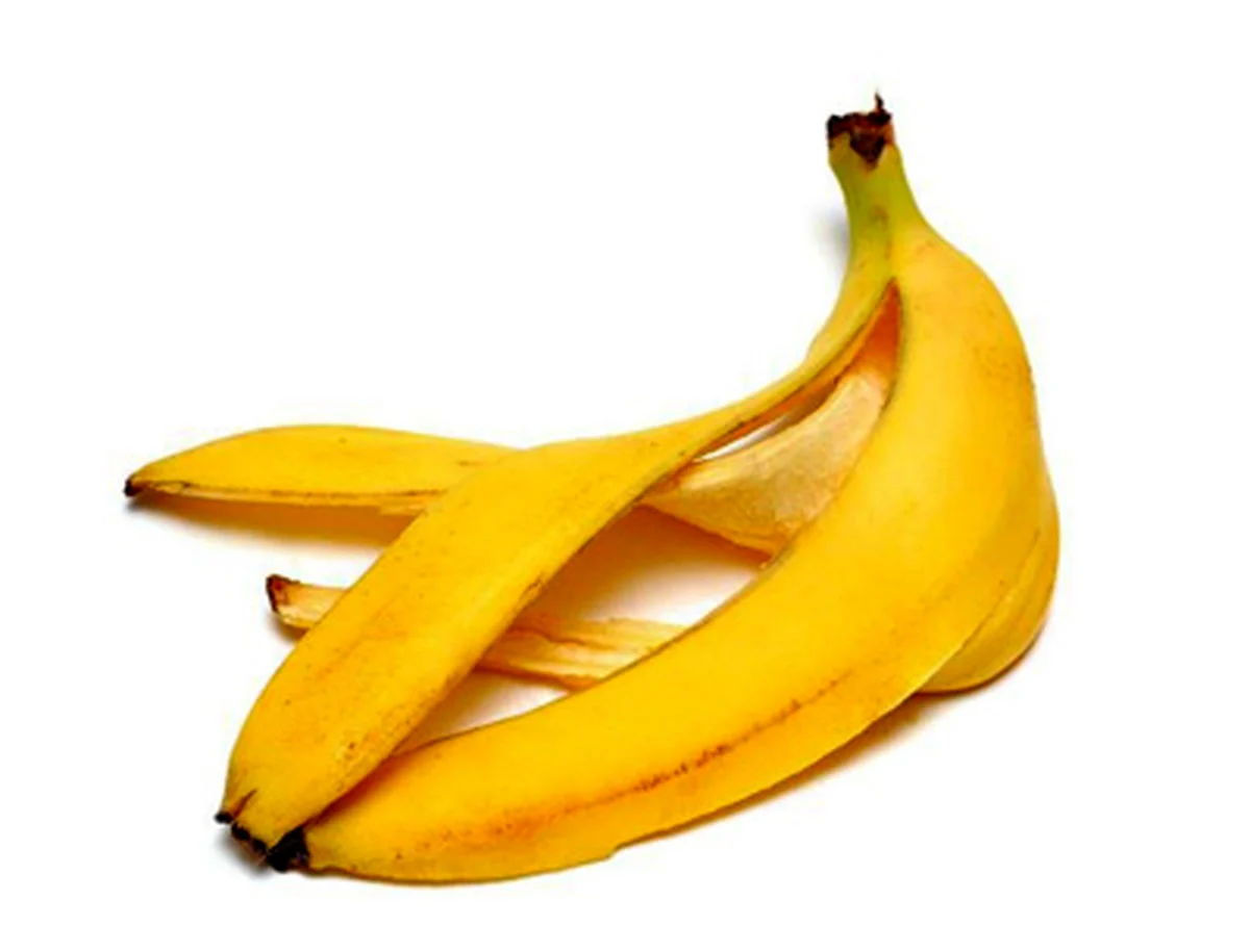 پوست