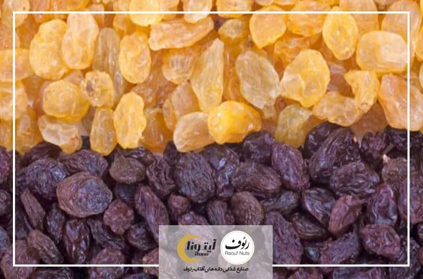 رژیم غذایی