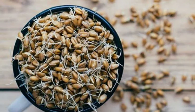 رژیم غذایی