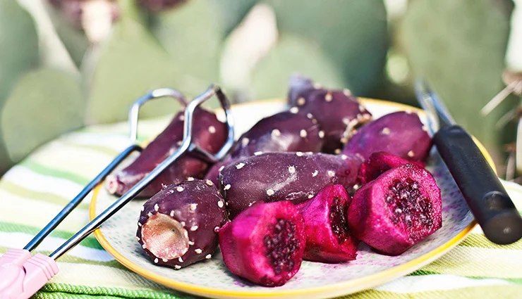 رژیم غذایی
