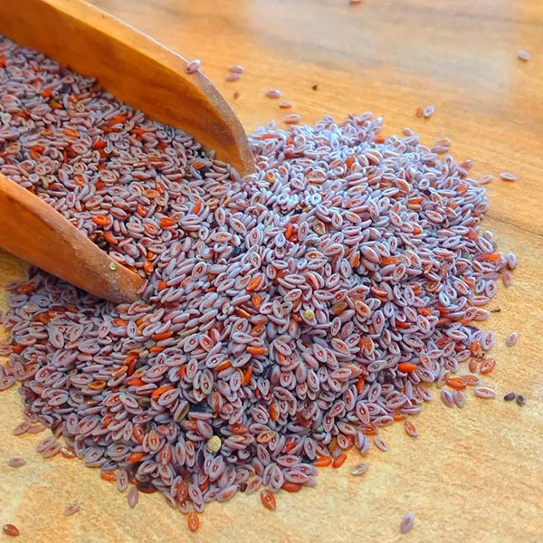 رژیم غذایی
