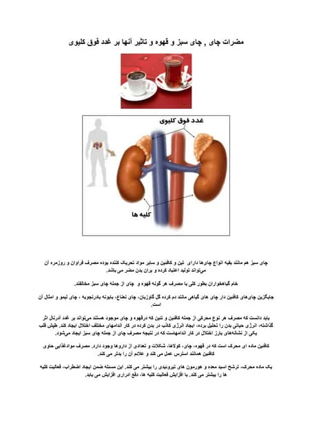 رژیم غذایی رژیم غذایی