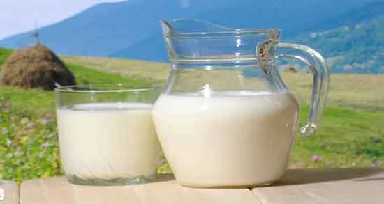 رژیم غذایی