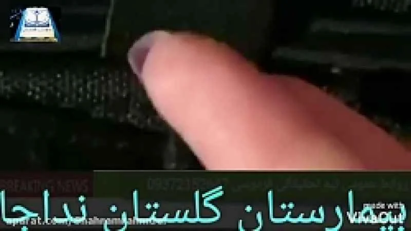 رژیم غذایی رژیم غذایی