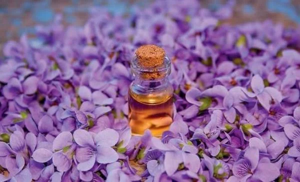 رژیم غذایی