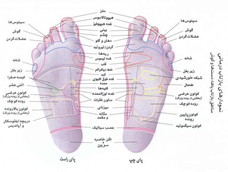 رژیم غذایی