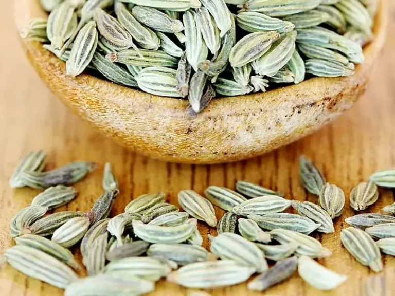 رازیانه برای لاغری