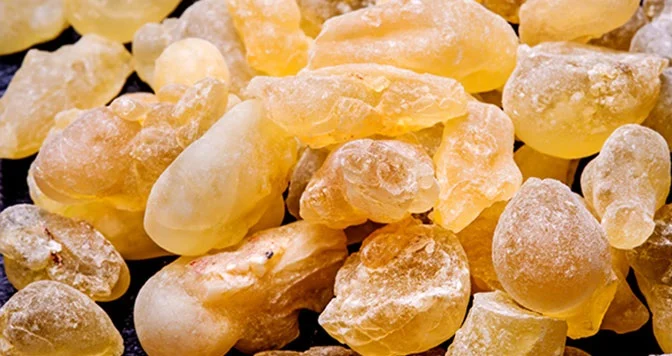 رژیم غذایی