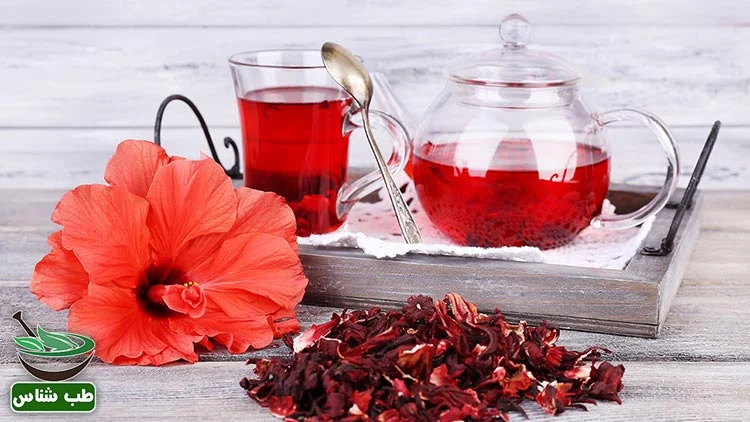 رژیم غذایی