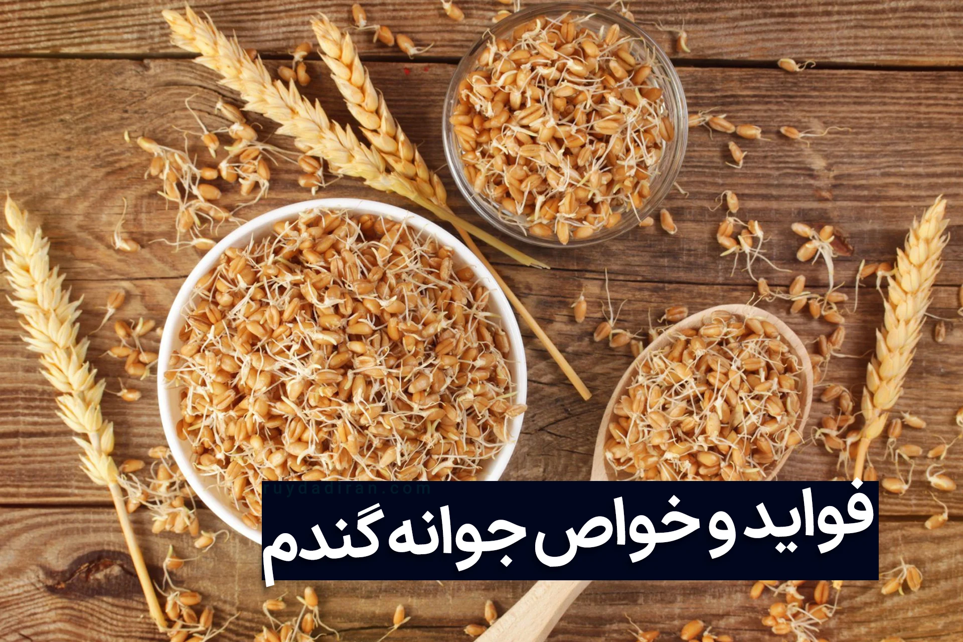 رژیم غذایی