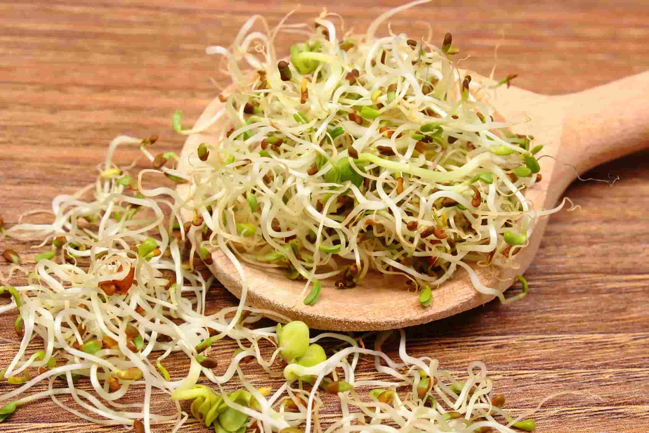 رژیم غذایی