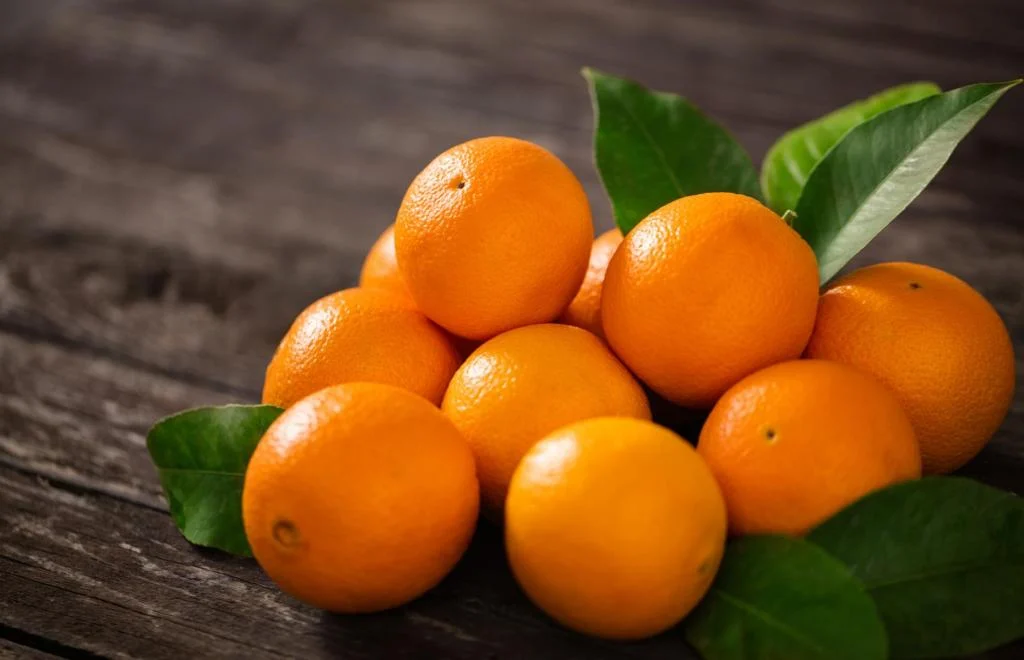 رژیم غذایی رژیم غذایی
