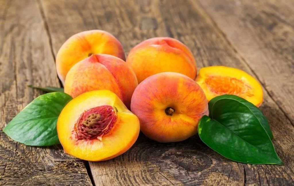رژیم غذایی رژیم غذایی