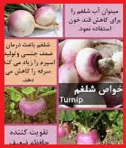 رژیم غذایی